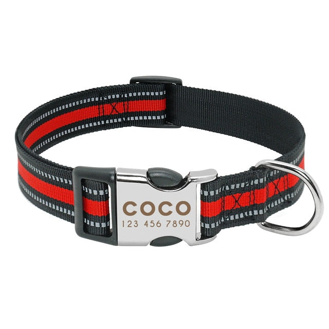 Best Dog Collar Personalized Pet