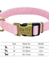 Best Dog Collar Personalized Pet