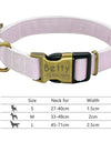 Best Dog Collar Personalized Pet