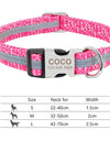 Best Dog Collar Personalized Pet