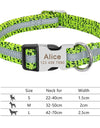 Best Dog Collar Personalized Pet