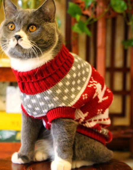 Best Cute Cat Sweater Costume Winter Warm Pet Clothes