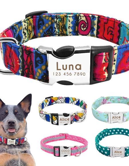 Best Dog Collar Personalized Pet