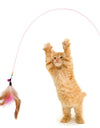 Best Cat Colorful Mouse Cage Toy