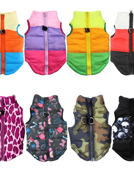 Best Warm Pet Clothing for Dog