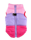 Best Warm Pet Clothing for Dog