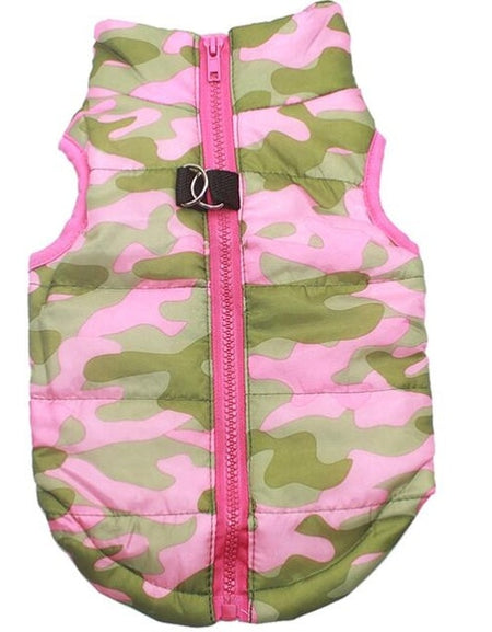 Best Warm Pet Clothing for Dog