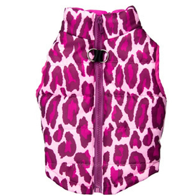 Best Warm Pet Clothing for Dog