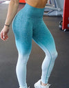 Best Ombre Seamless Yoga Leggings