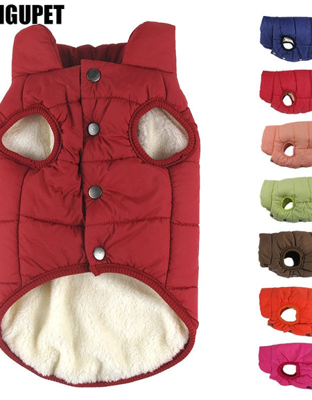 Best Winter pet coat clothes for dogs