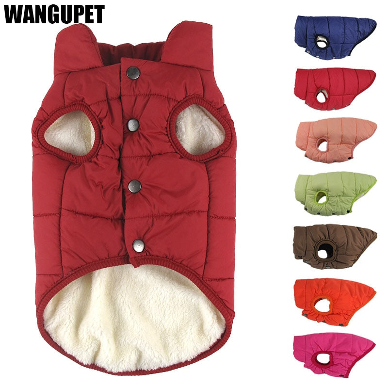 Best Winter pet coat clothes for dogs