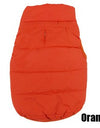 Best Winter pet coat clothes for dogs