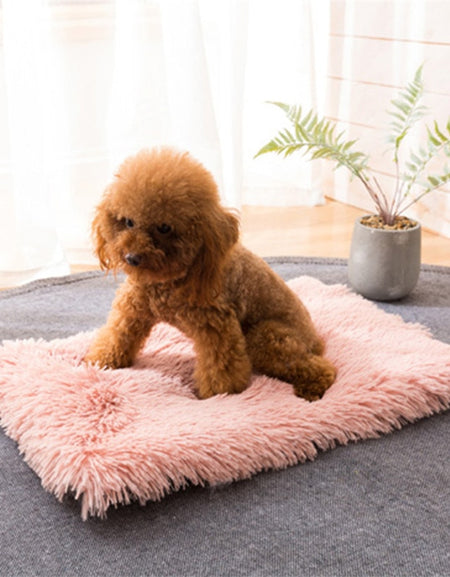 Best Winter Dog Bed Mat Soft Fleece Pet