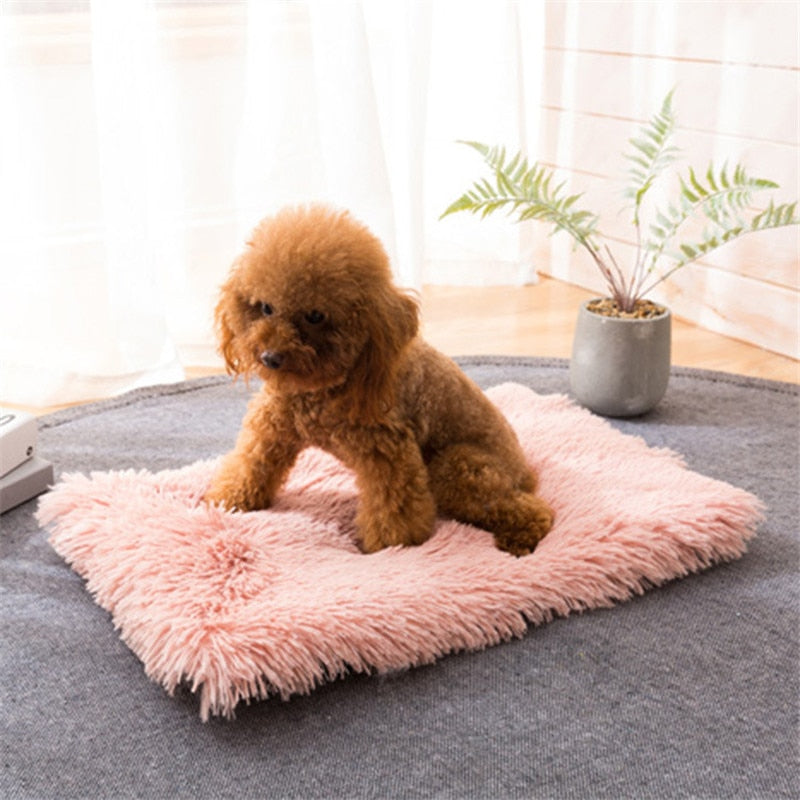 Best Winter Dog Bed Mat Soft Fleece Pet