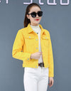 Best Jacket & Coats for Women