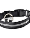 Best LED Dogs Collar