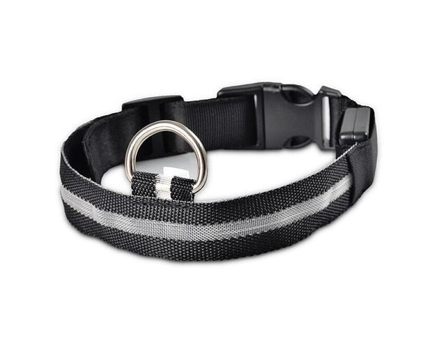 Best LED Dogs Collar