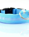 Best LED Dogs Collar