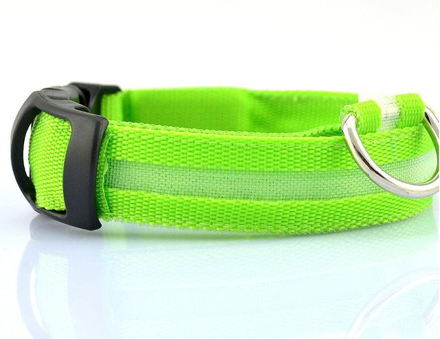 Best LED Dogs Collar