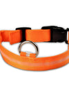 Best LED Dogs Collar