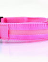 Best LED Dogs Collar