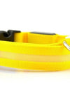 Best LED Dogs Collar