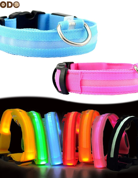 Best LED Dogs Collar