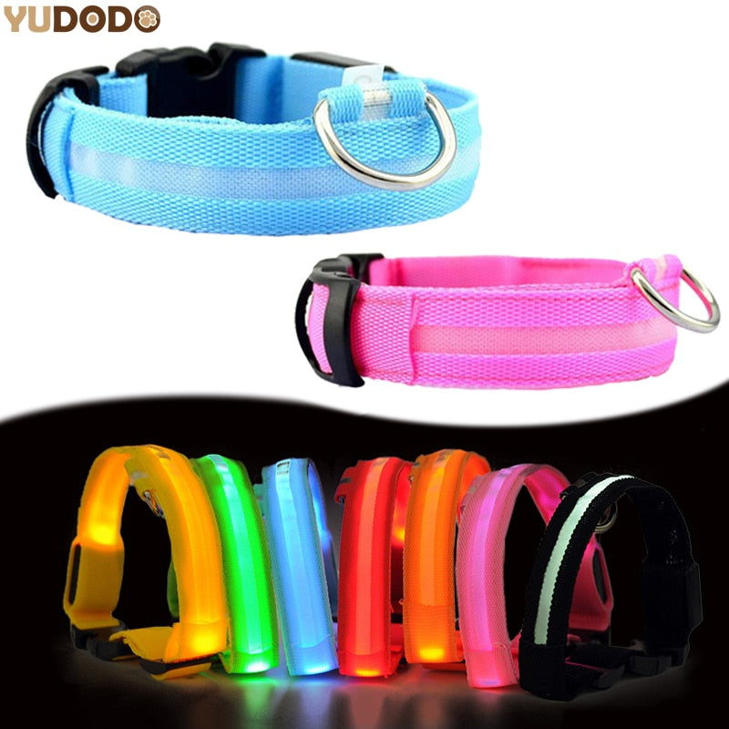 Best LED Dogs Collar