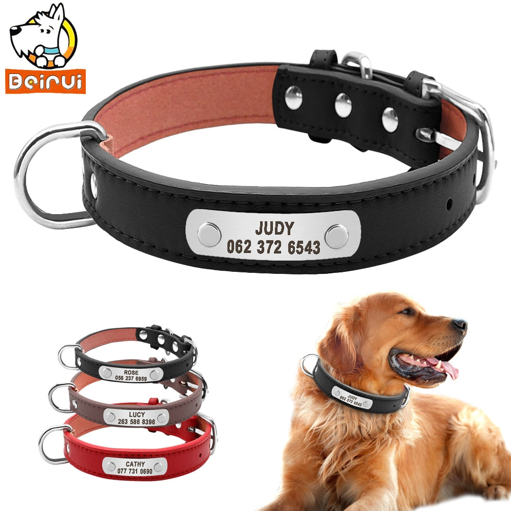 Best Leather Dog Collar