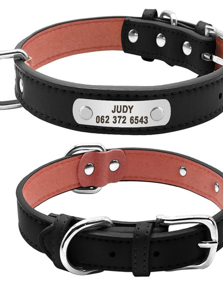Best Leather Dog Collar