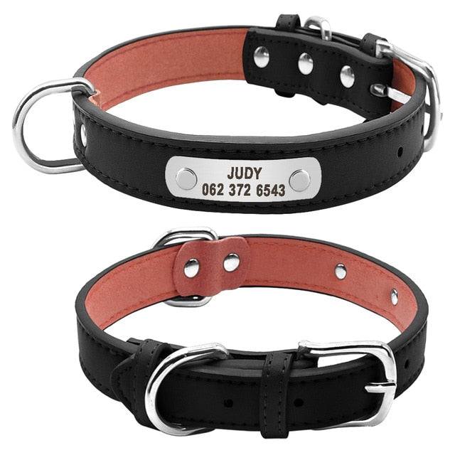 Best Leather Dog Collar