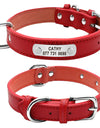 Best Leather Dog Collar