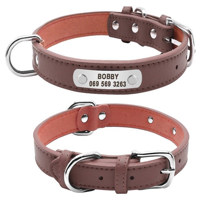 Best Leather Dog Collar