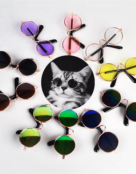 Best Hot Sale Dog Pet Glasses For Pet