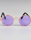 Best Hot Sale Dog Pet Glasses For Pet
