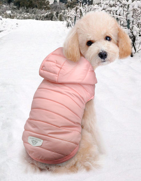 Best Pet Pug Dog Clothes