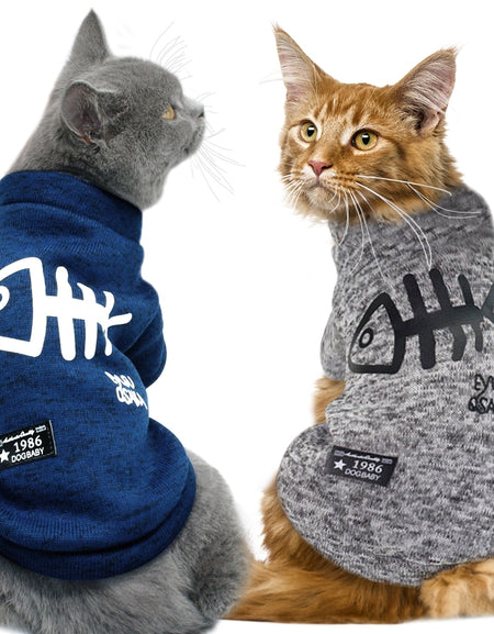 Best Cat Winter Hoodies