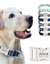 Best Dog Collar Personalized