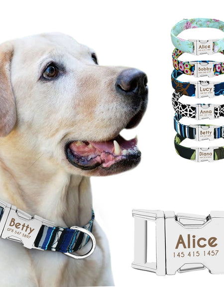 Best Dog Collar Personalized