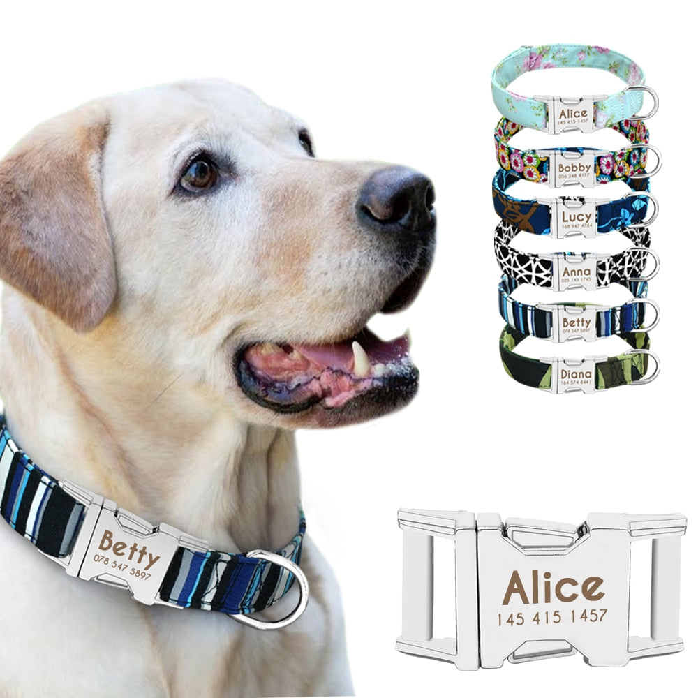 Best Dog Collar Personalized