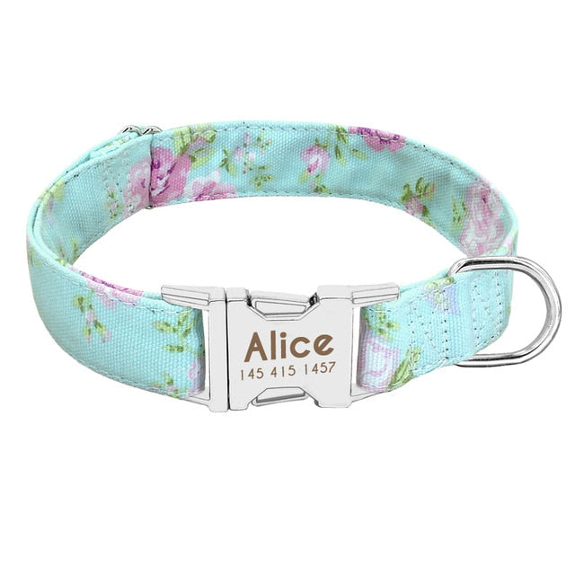 Best Dog Collar Personalized