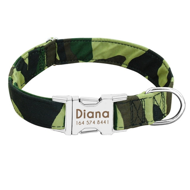 Best Dog Collar Personalized