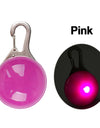 Best LED Dogs Collar
