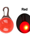 Best LED Dogs Collar
