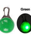 Best LED Dogs Collar