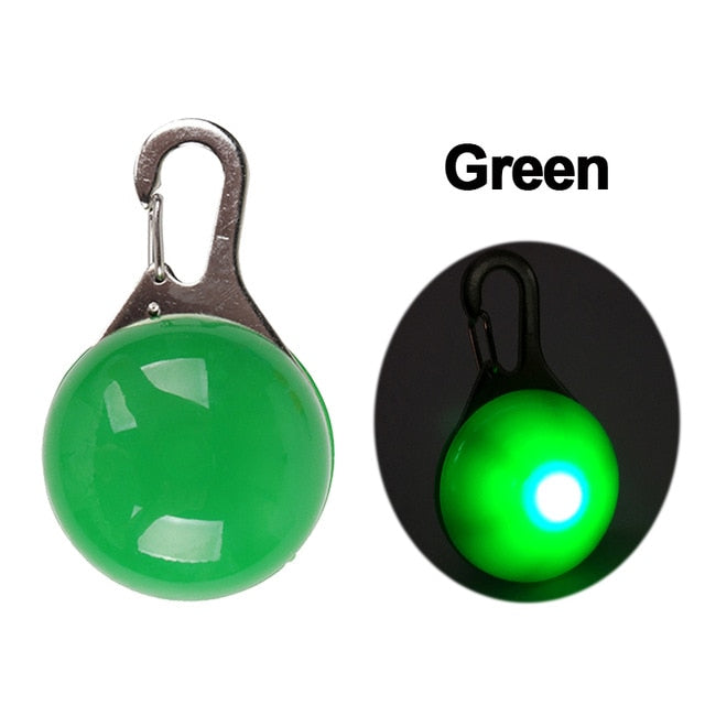 Best LED Dogs Collar