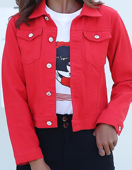 Best Jacket & Coats for Women