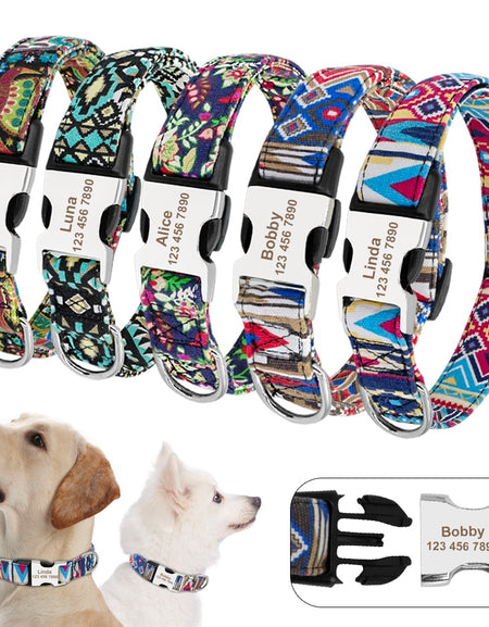 Best Custom Dog Collar