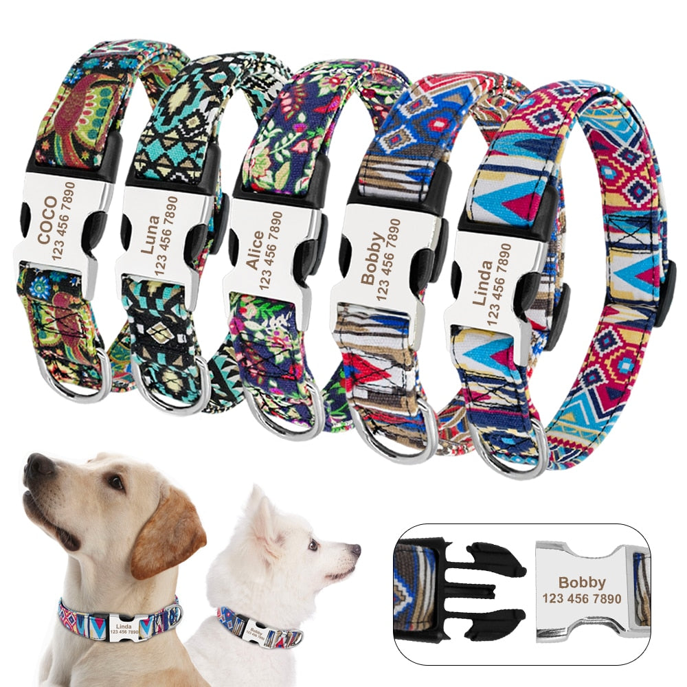 Best Custom Dog Collar