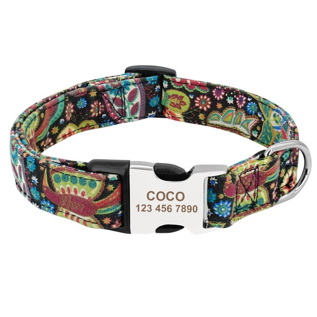 Best Custom Dog Collar